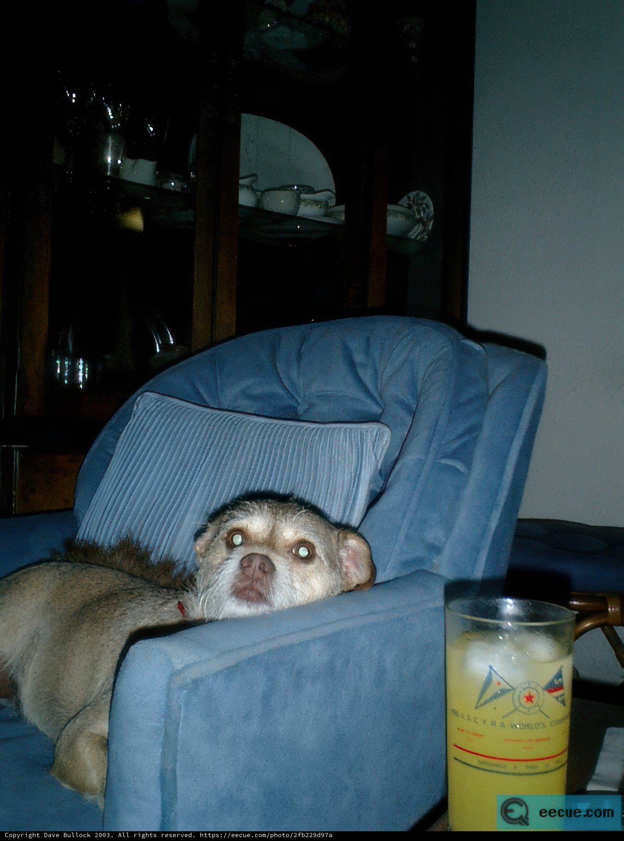 Lazy Days