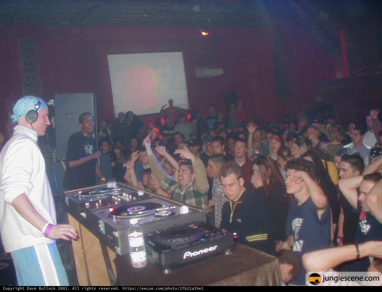 Nightclub Music Performance