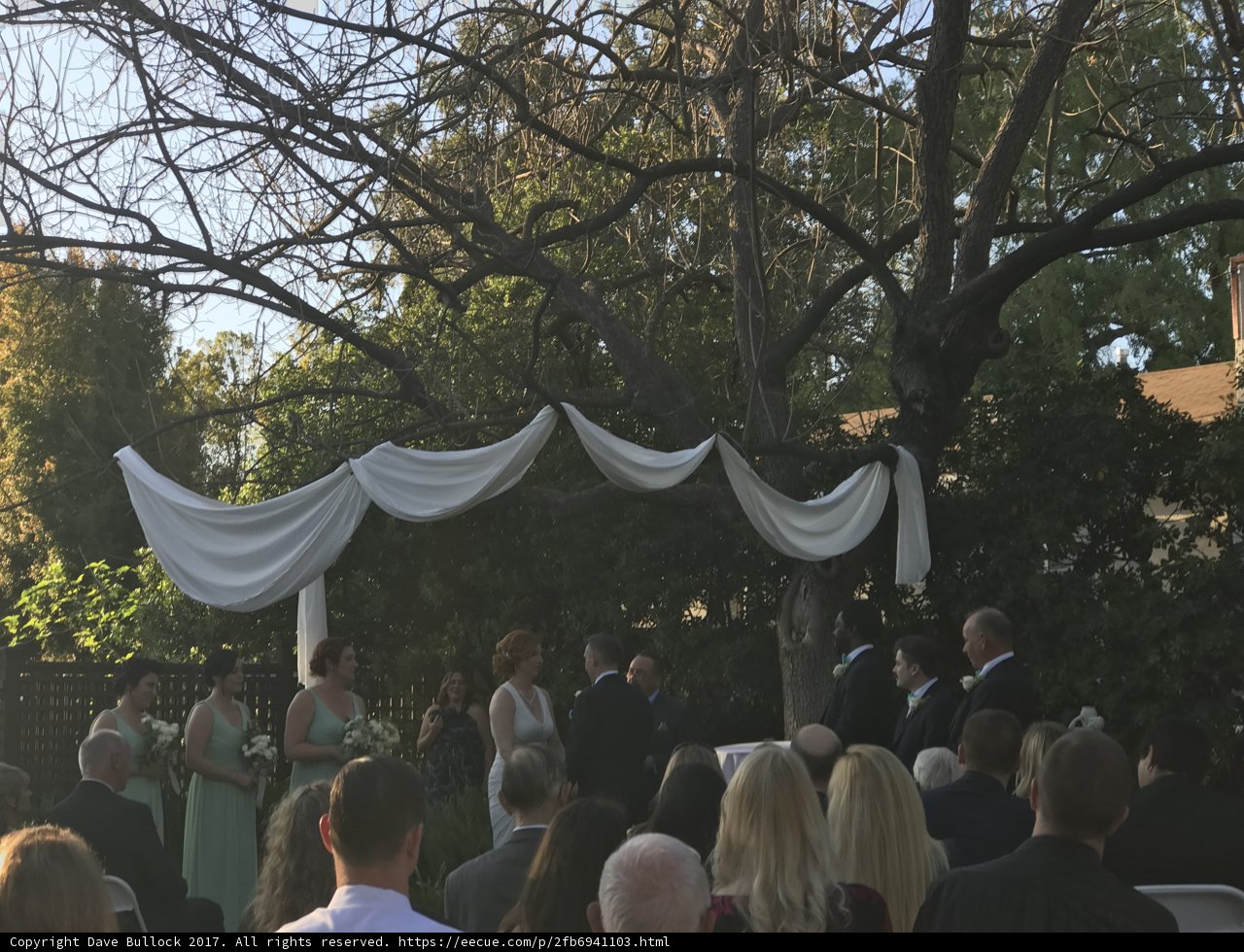 A Beautiful Park Wedding