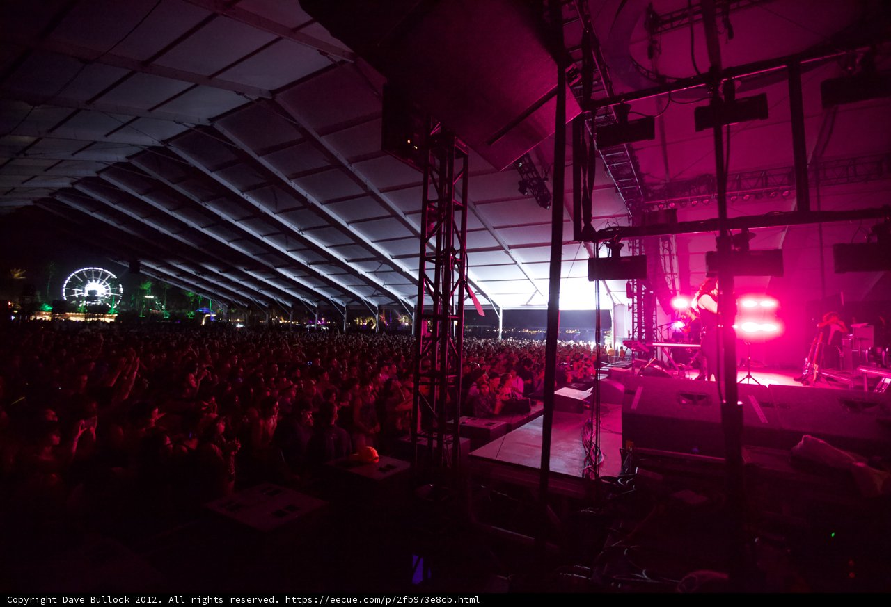 Rocking Under the Neon Lights