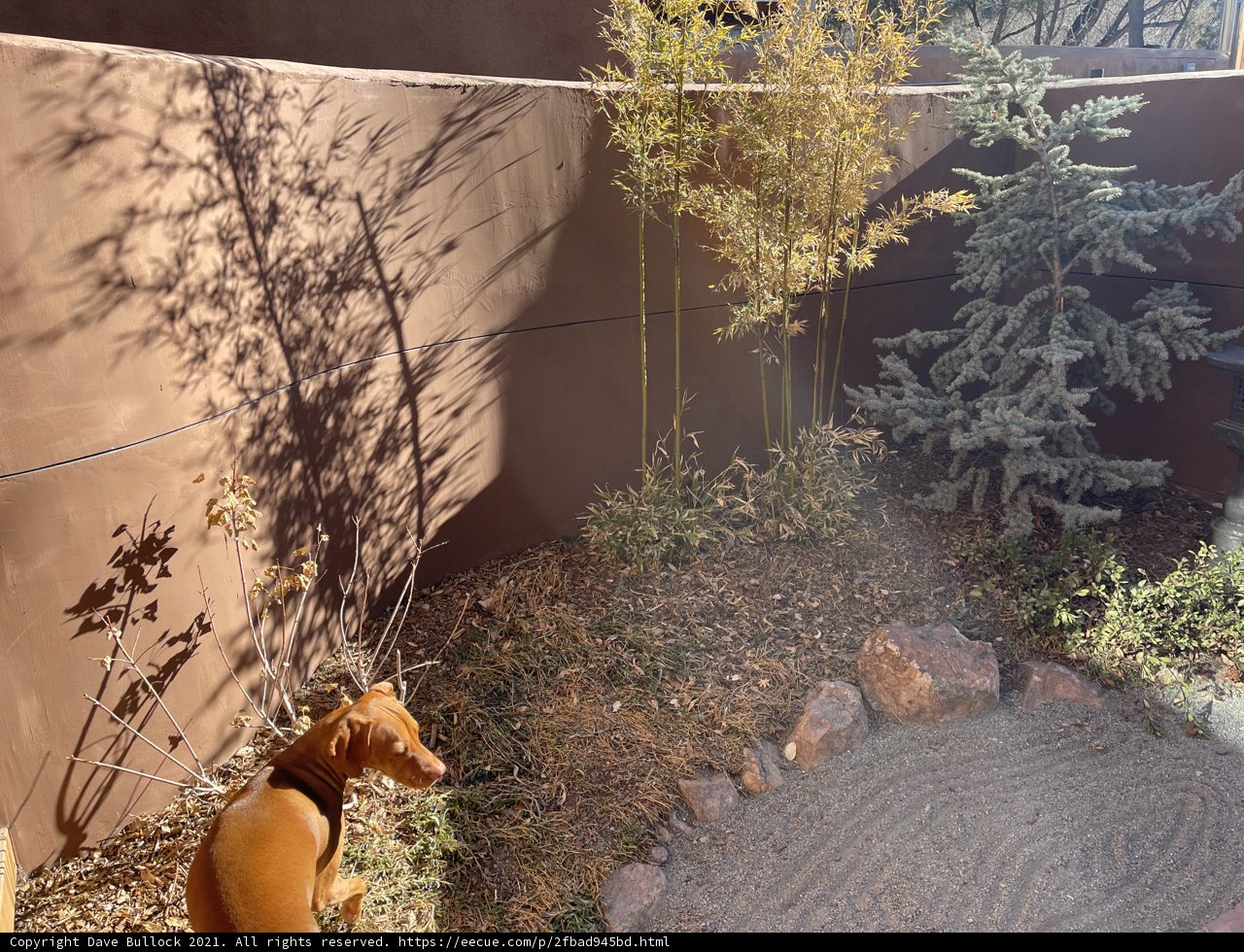 Garden Companion