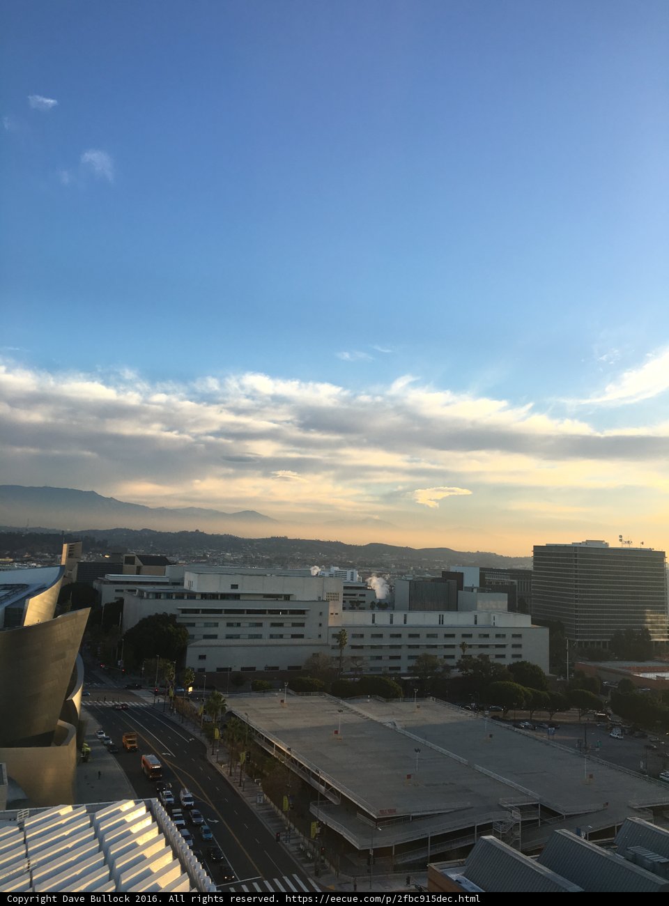 The Concrete Jungle