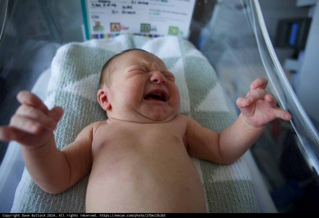 **Leland's First Cry**