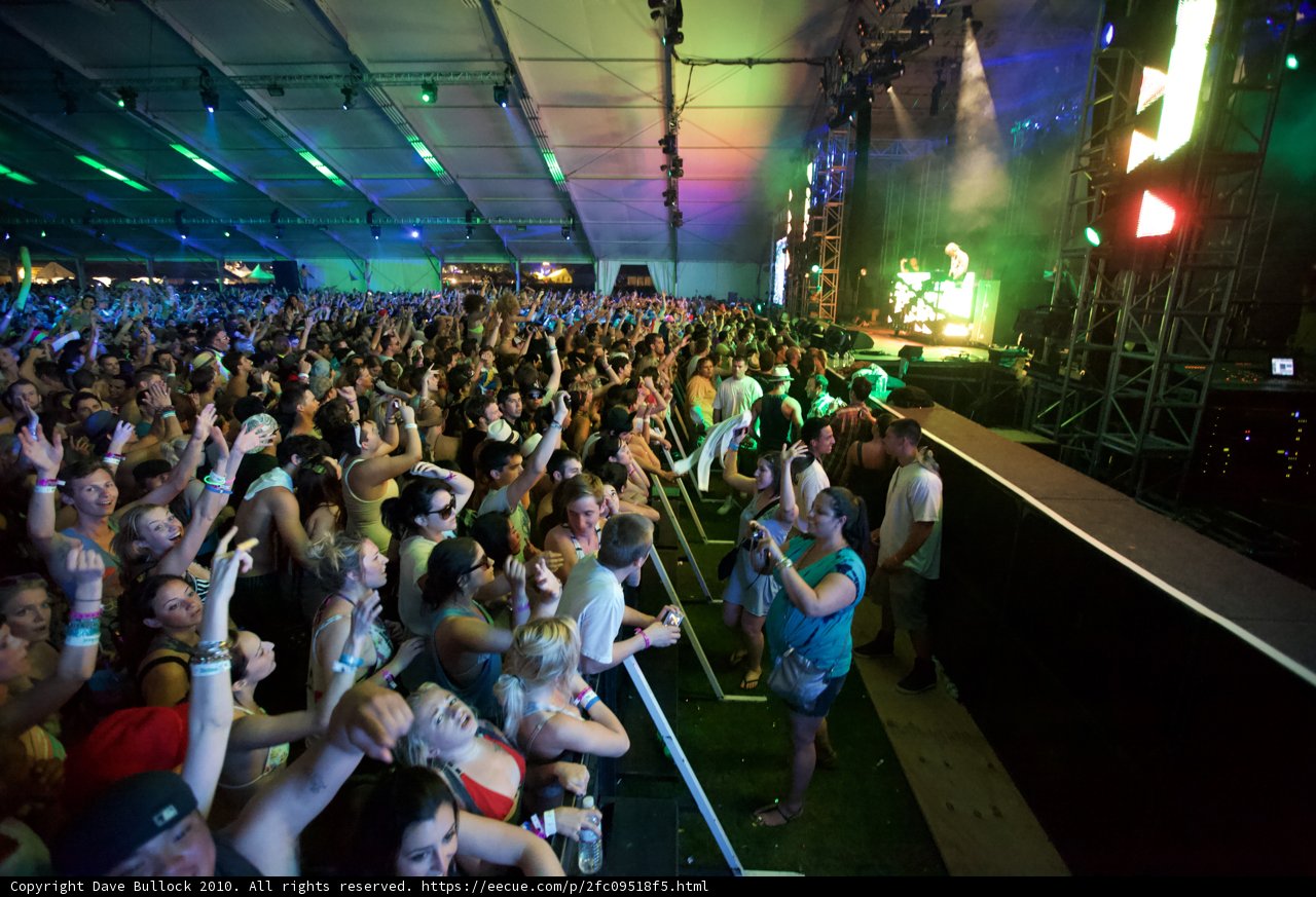 Saturday Night Fever: Concert-Goers with Hands Up