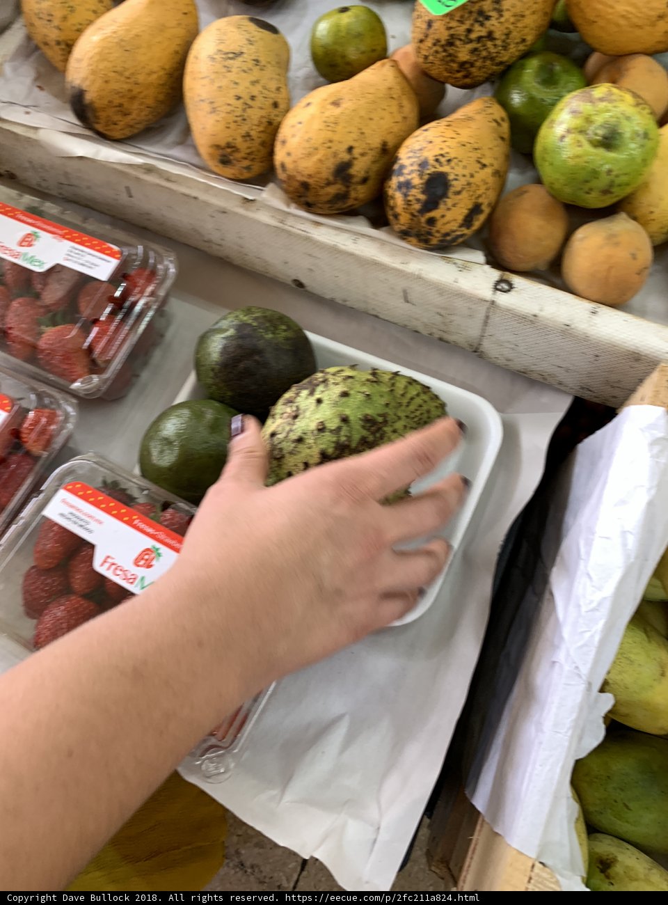Savoring Fresh Fruits