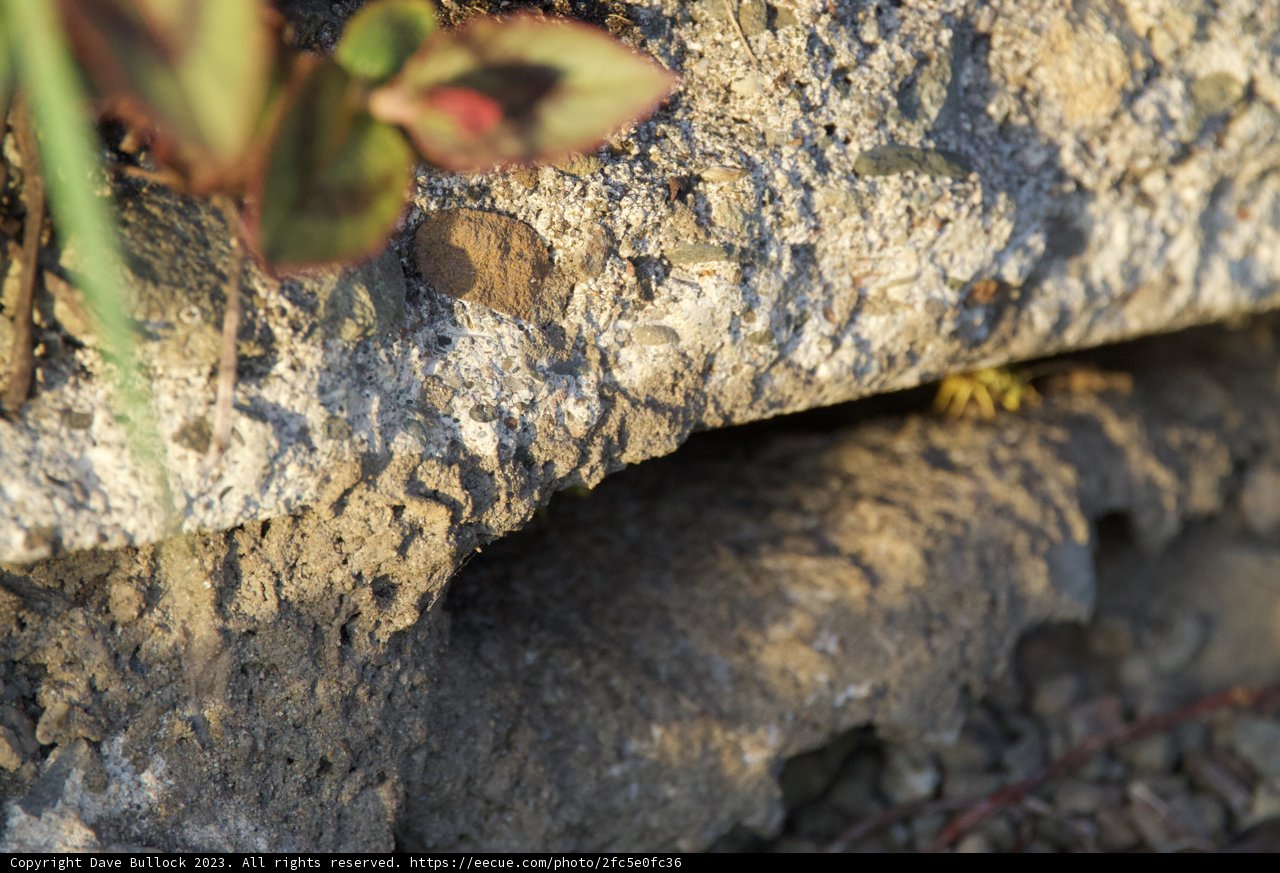 Resilience in Stone