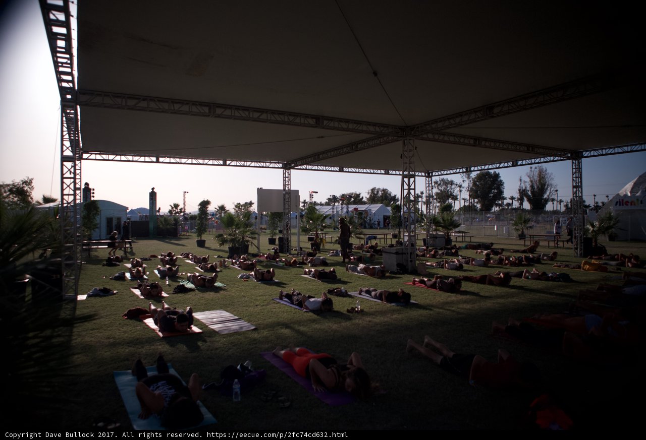 Sun Salutations on the Lawn