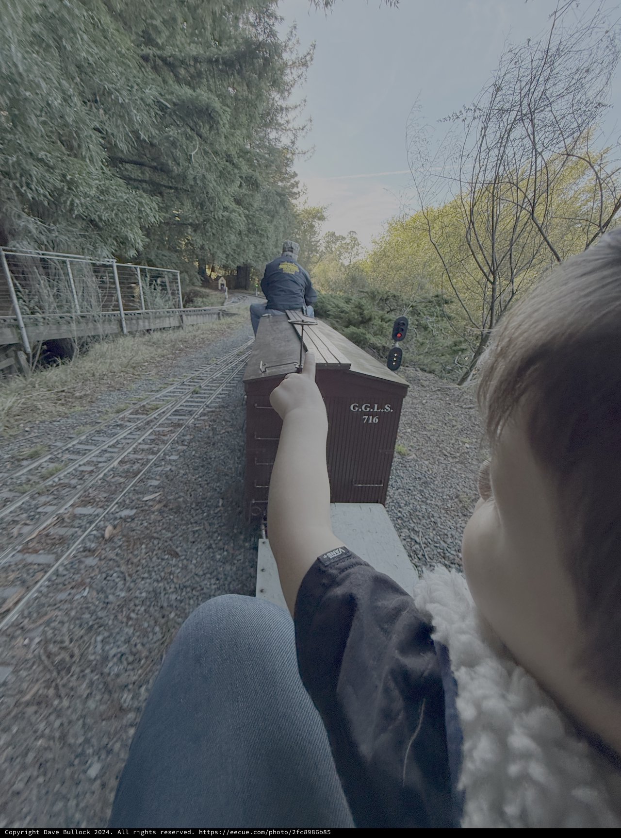 Riding the Rails on Heritage Steam Train