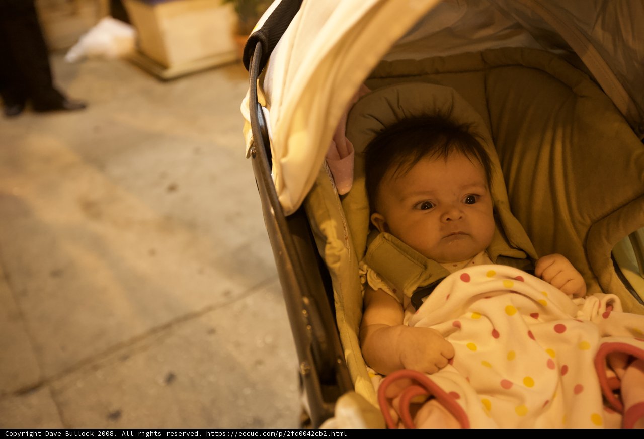 Little One in a Stylish Stroller