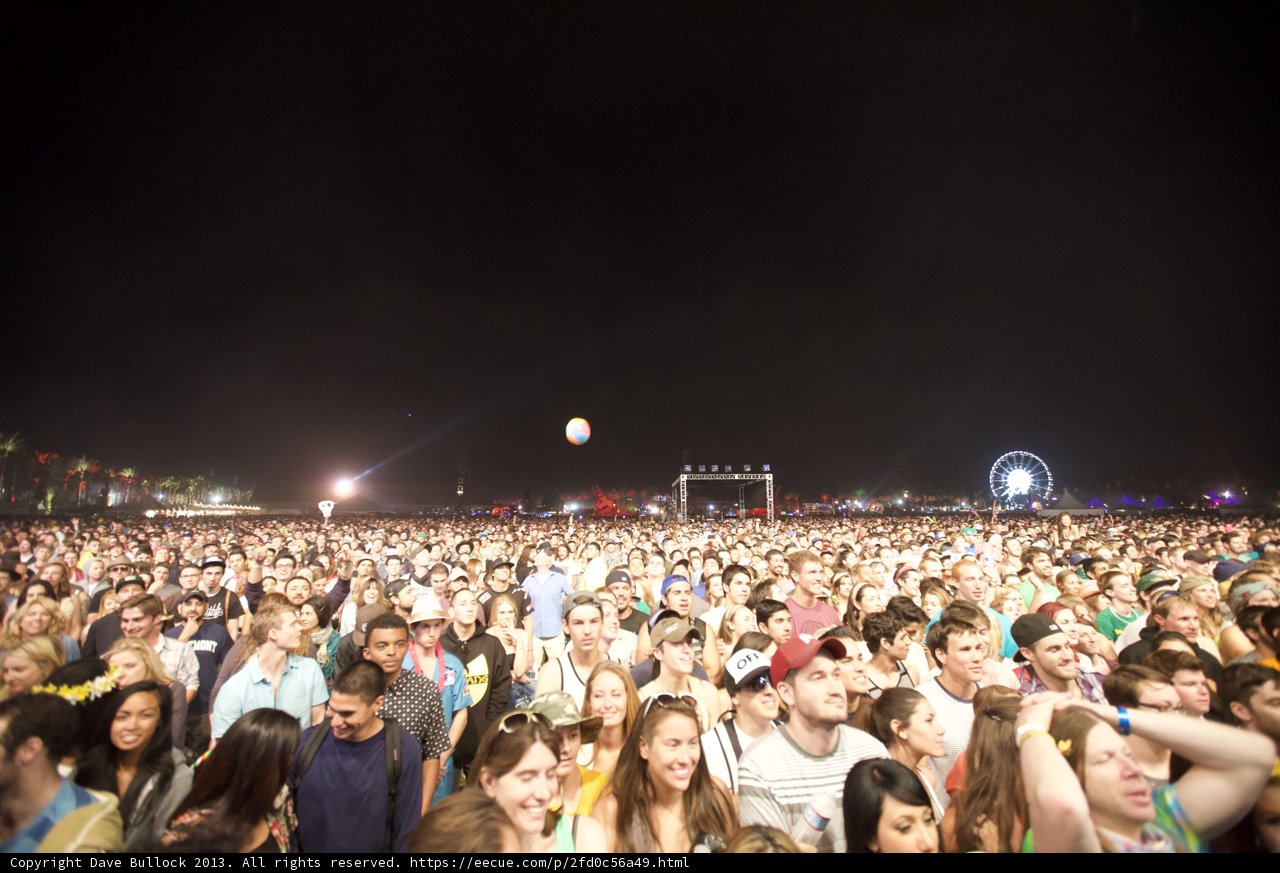 The Electric Crowd at Coachella