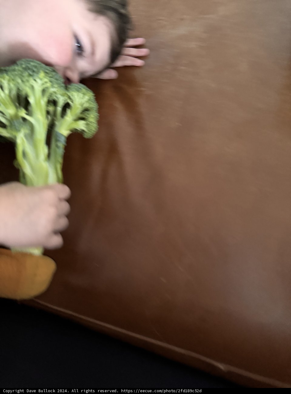 Broccoli Dreams