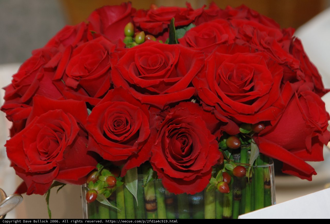 Red Rose Bouquet in Vase