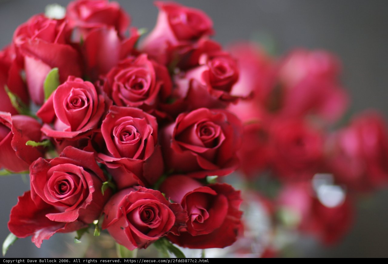 11 Red Roses in a Flower Arrangement