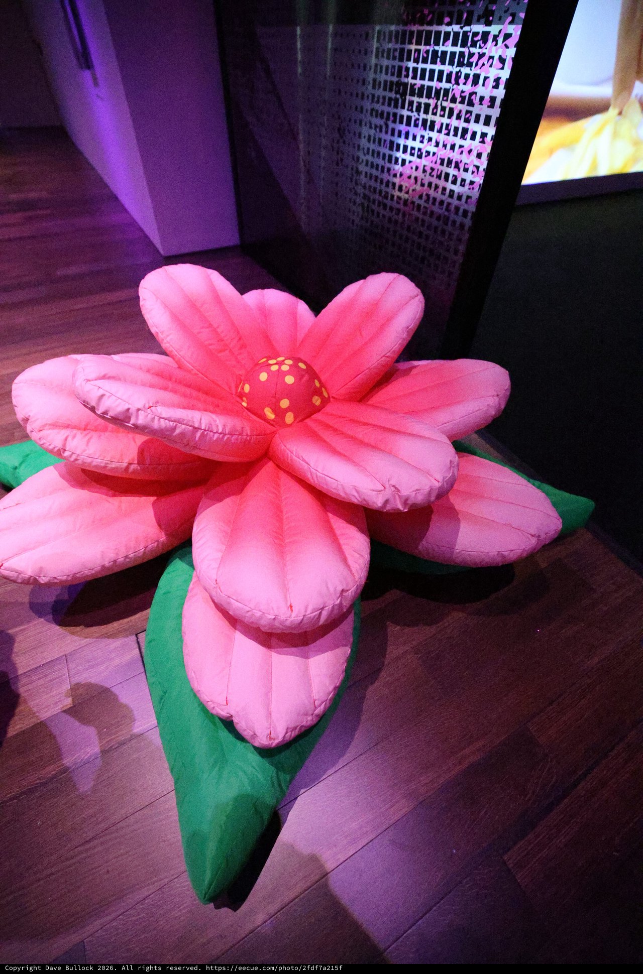 Oversized Pink Plush Flower Installation at Indoor Event