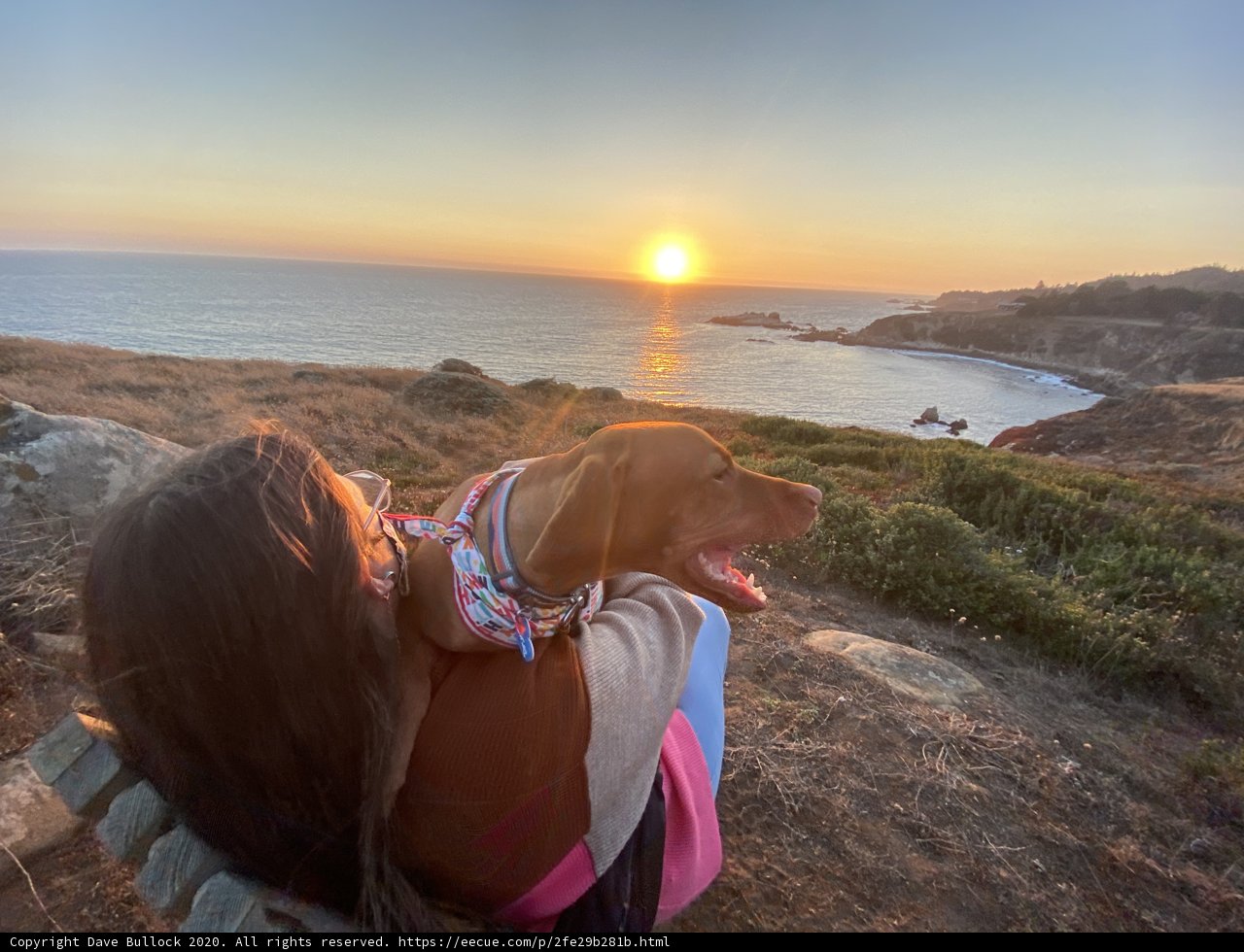 Sunset Serenity with My Canine Companion