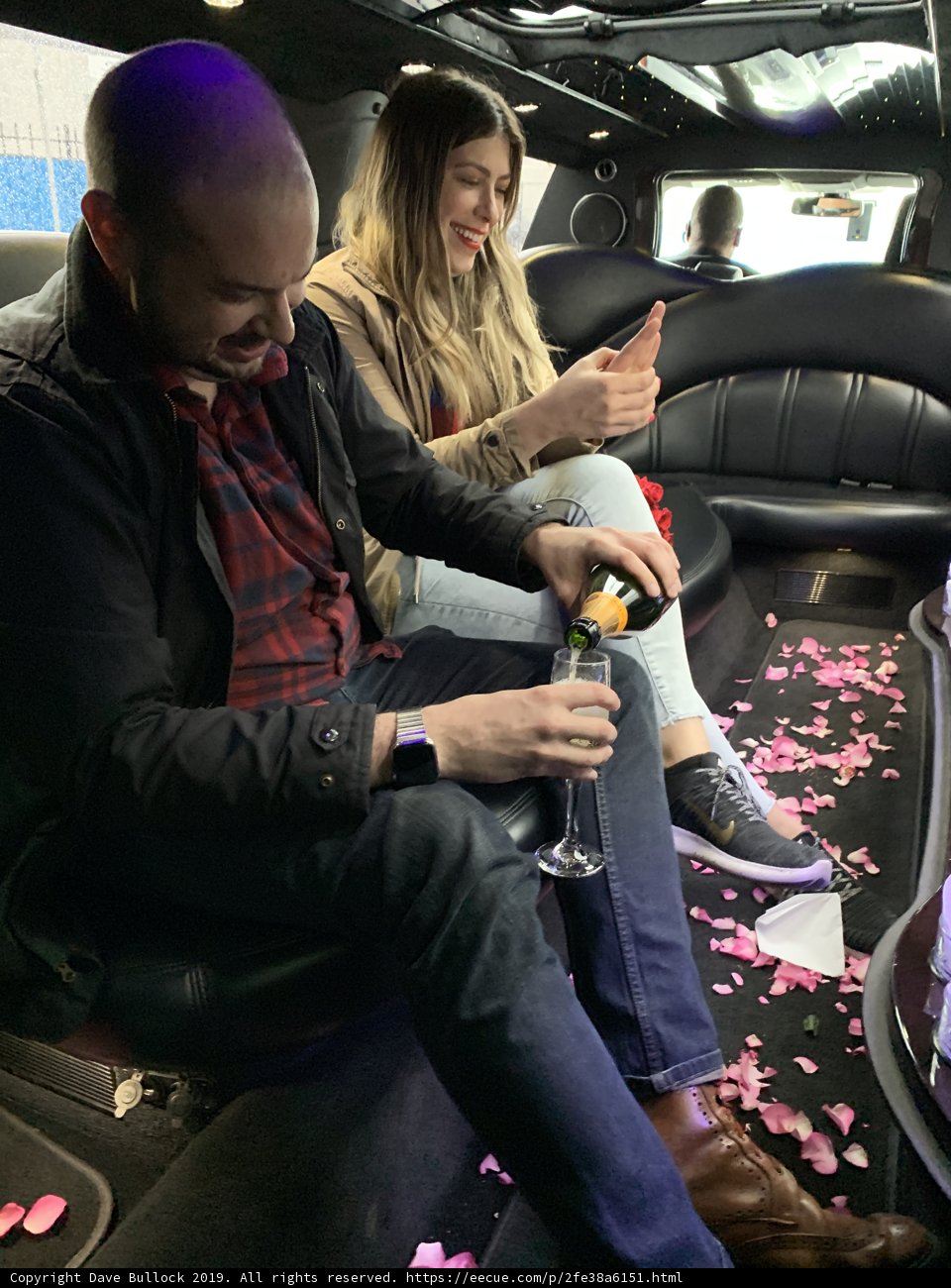 Limo Lovebirds