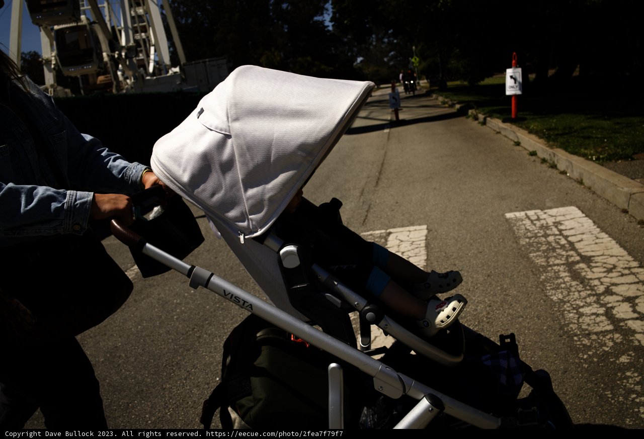 A Stroll in the Park, 2023