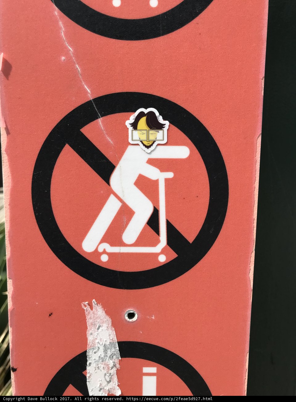 Stop Sign Skateboarder