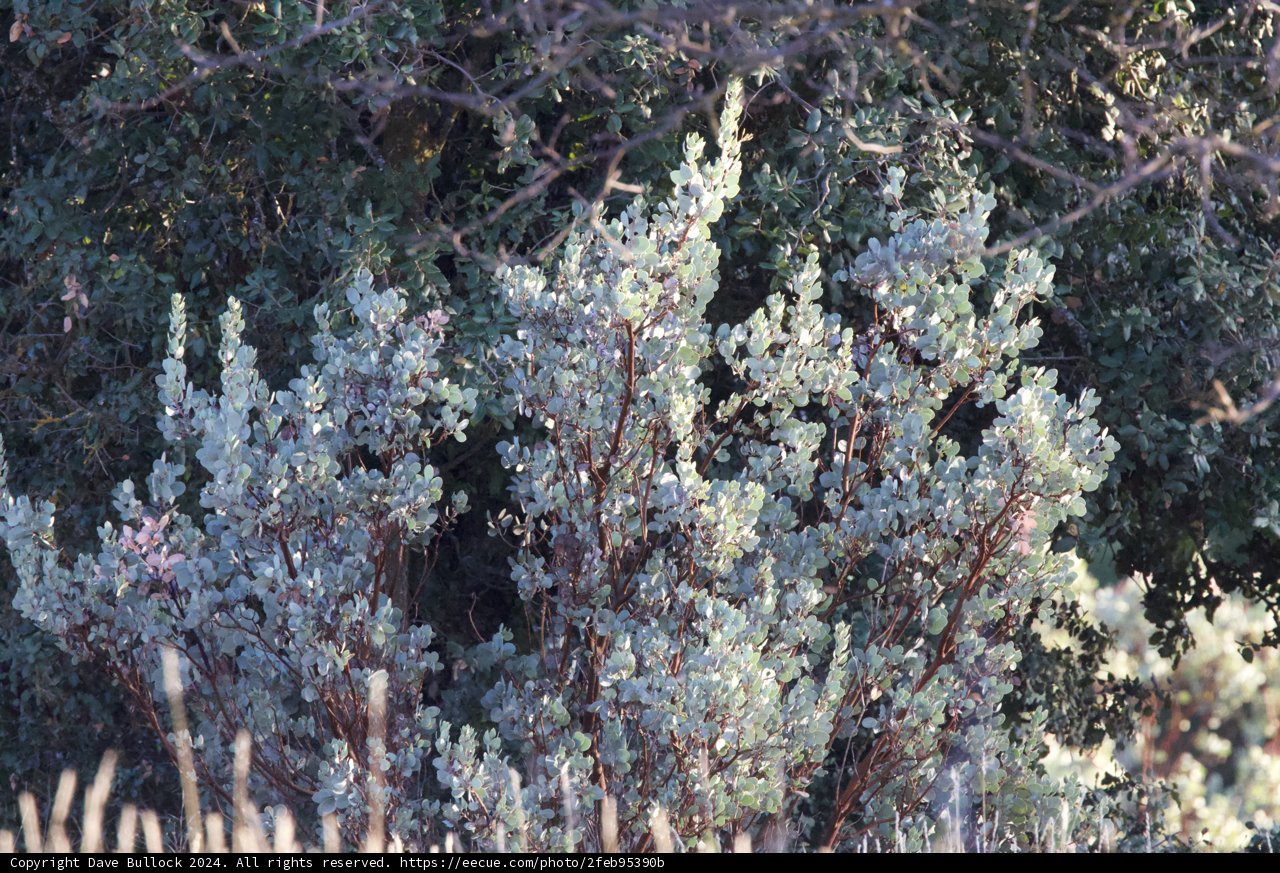 Winter's Embrace at Firefall Ranch