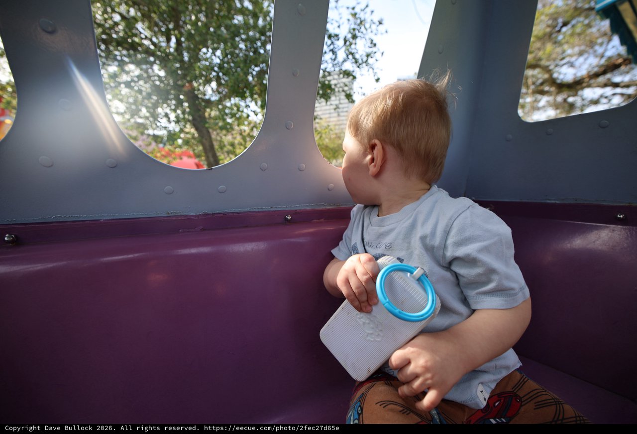 Toddler Gazing Out Playground Structure Window