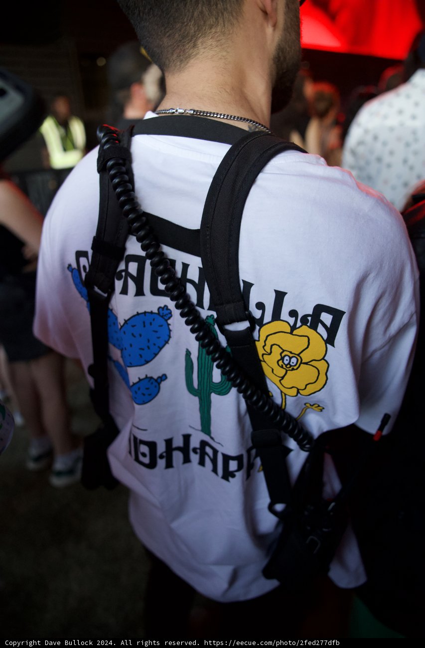 Festival Vibes at Coachella 2024