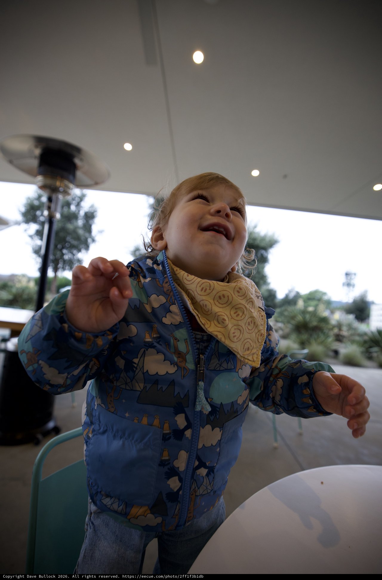 Joyful Toddler in Dinosaur Jacket at Outdoor Restaurant