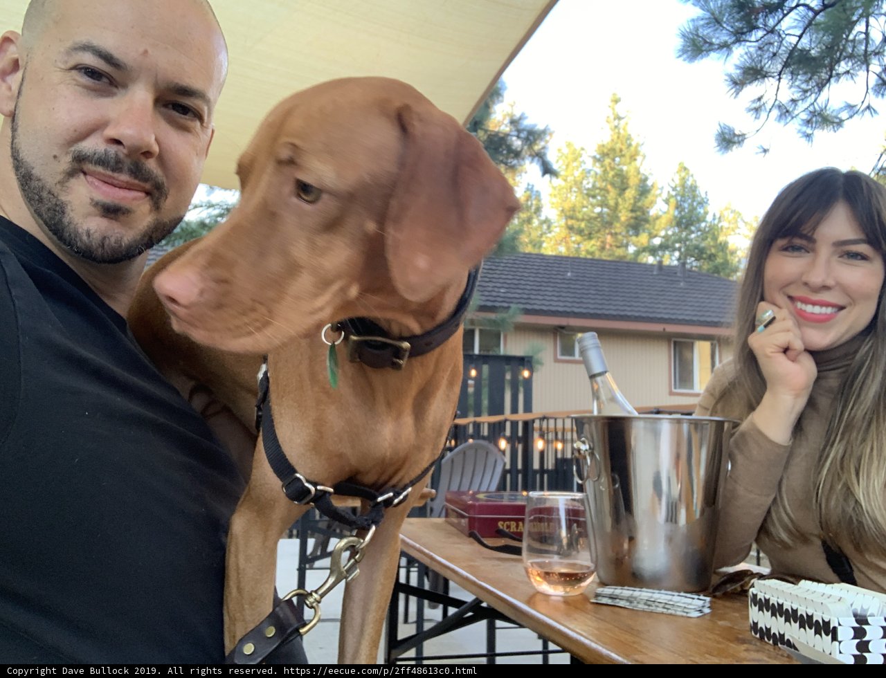 An Evening with Friends and Furry Companions
