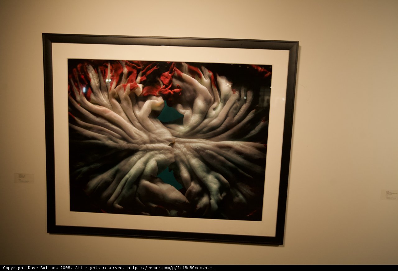 Artistic Arms