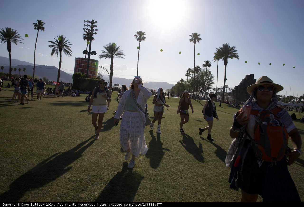 Sunny Vibes at Coachella 2024
