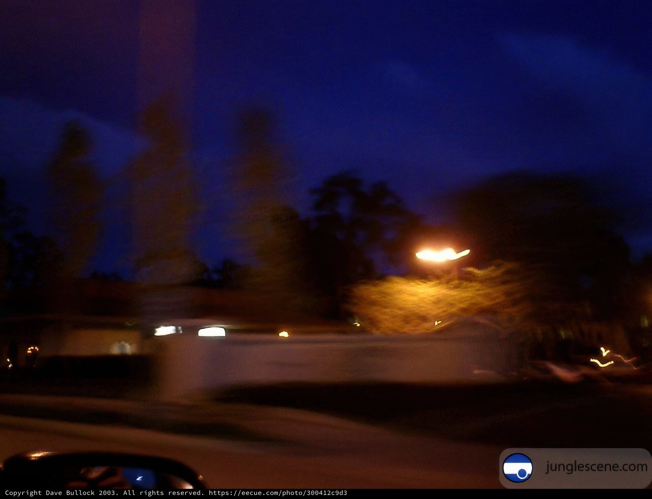 Illuminated Nightscape