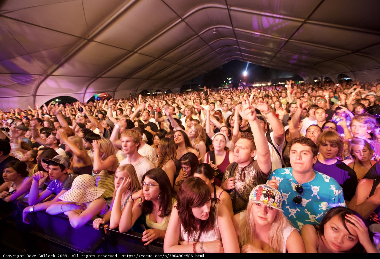 Hands Up at Coachella