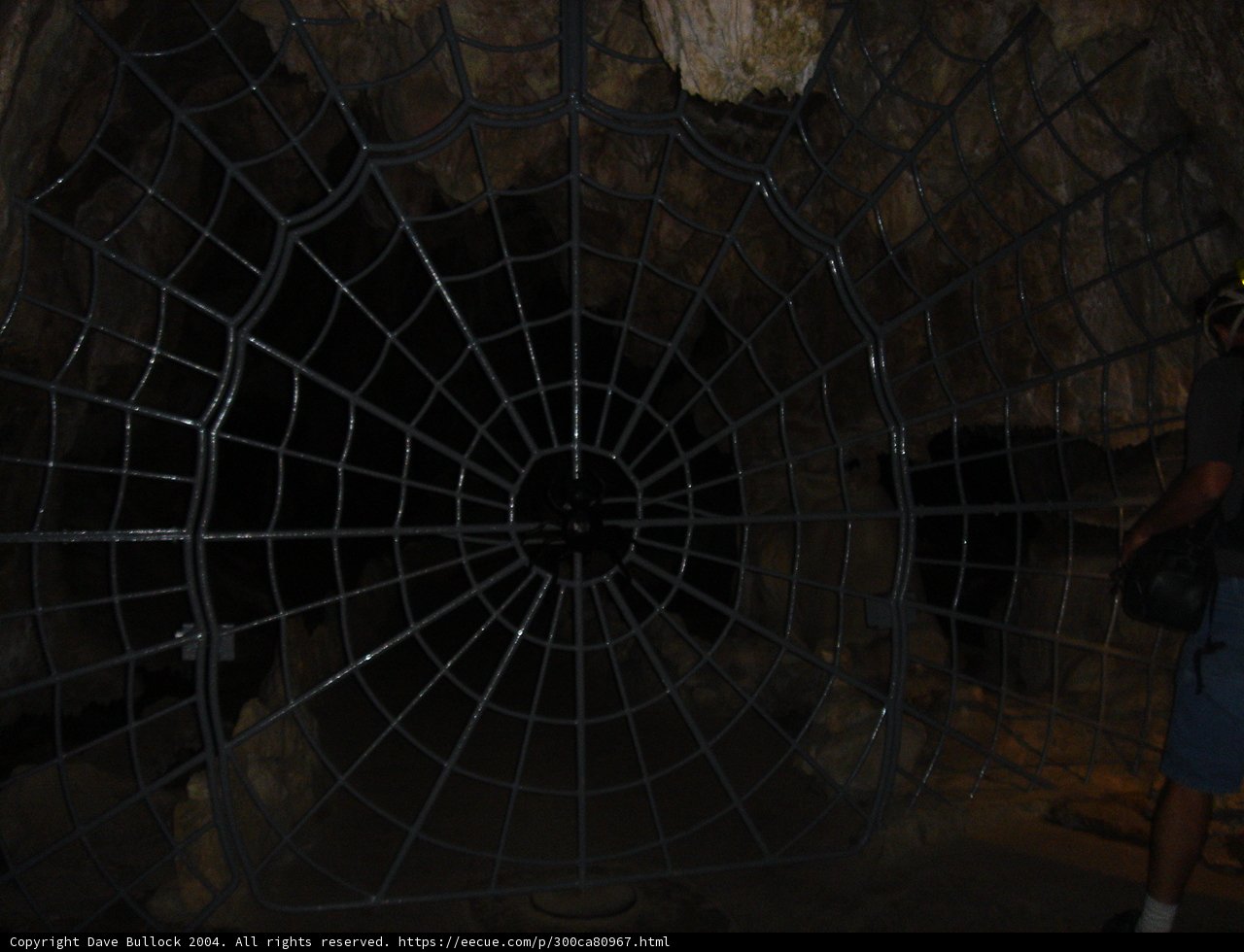 Web of Intrigue