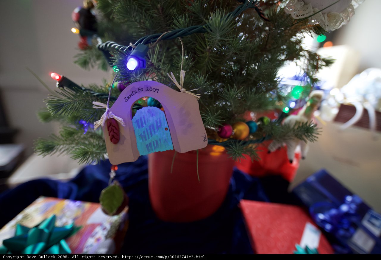 Festive Fir