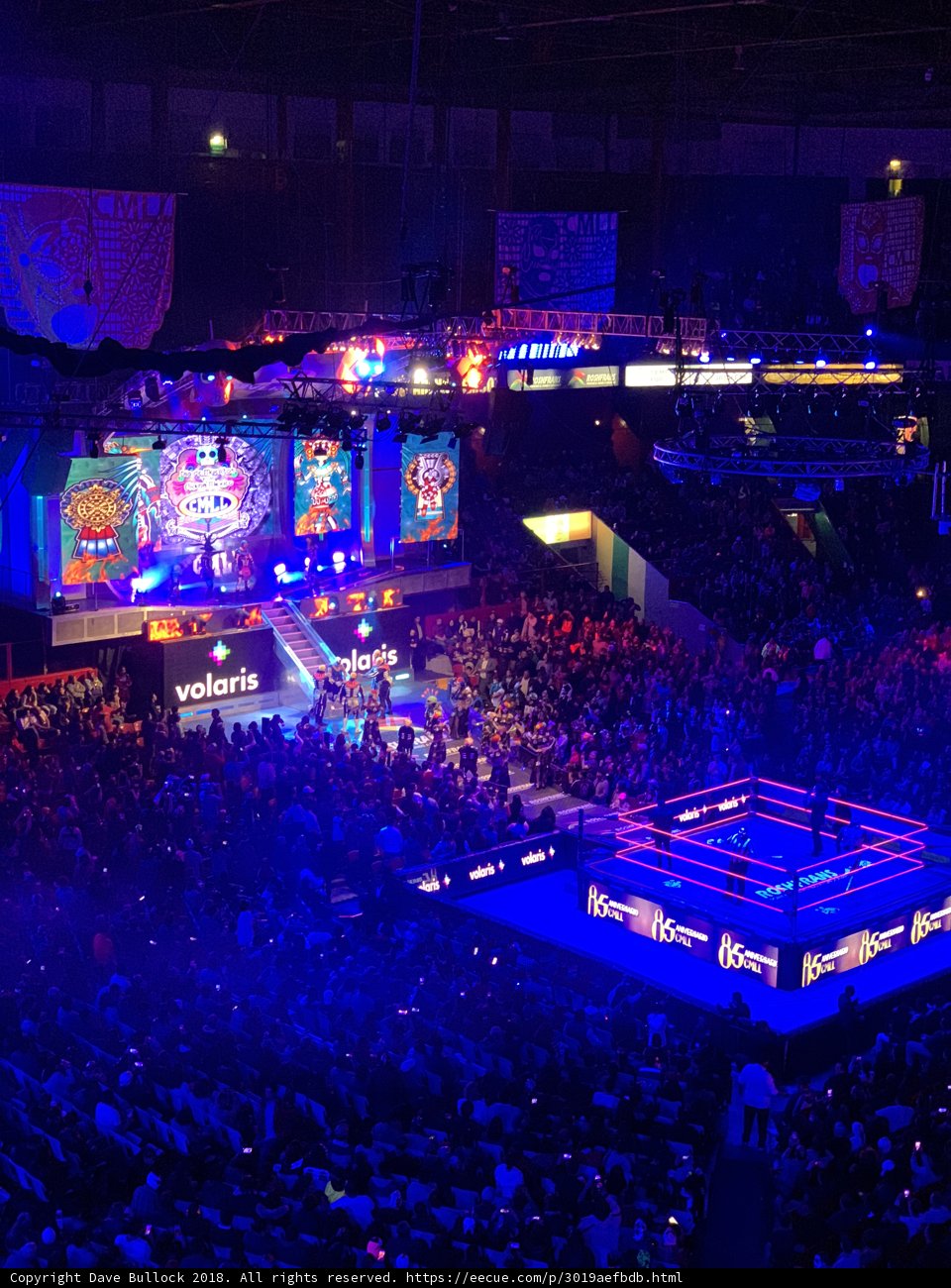 Wrestling Showdown
