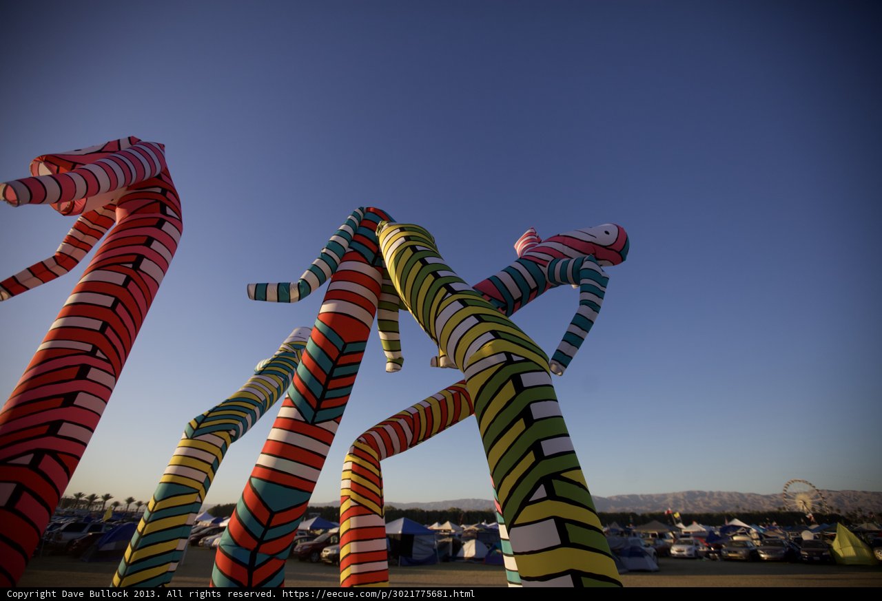Colorful Giraffes in Empire Polo Club