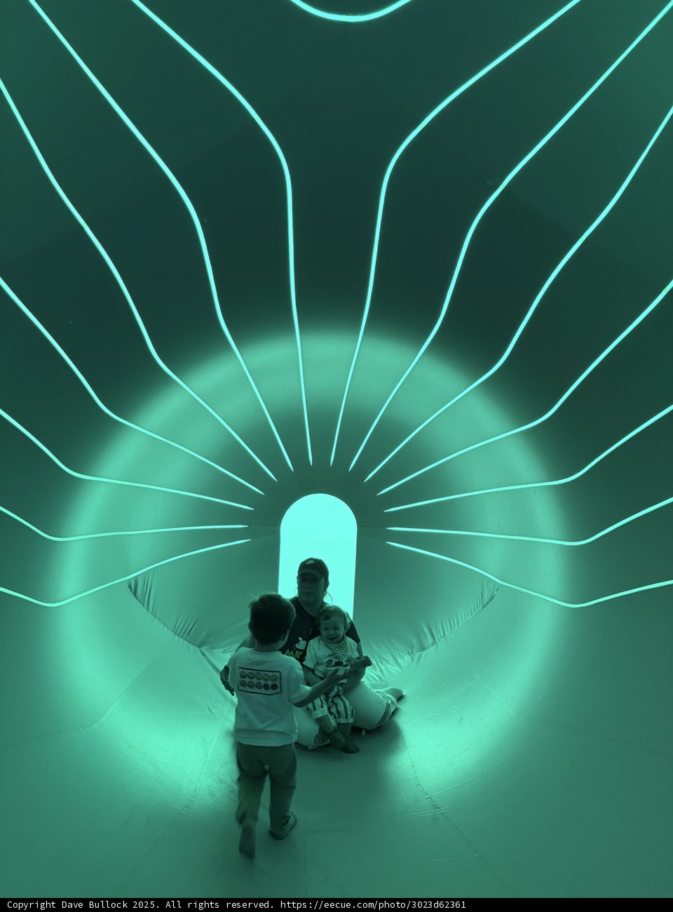 Enchanted Tunnel Play