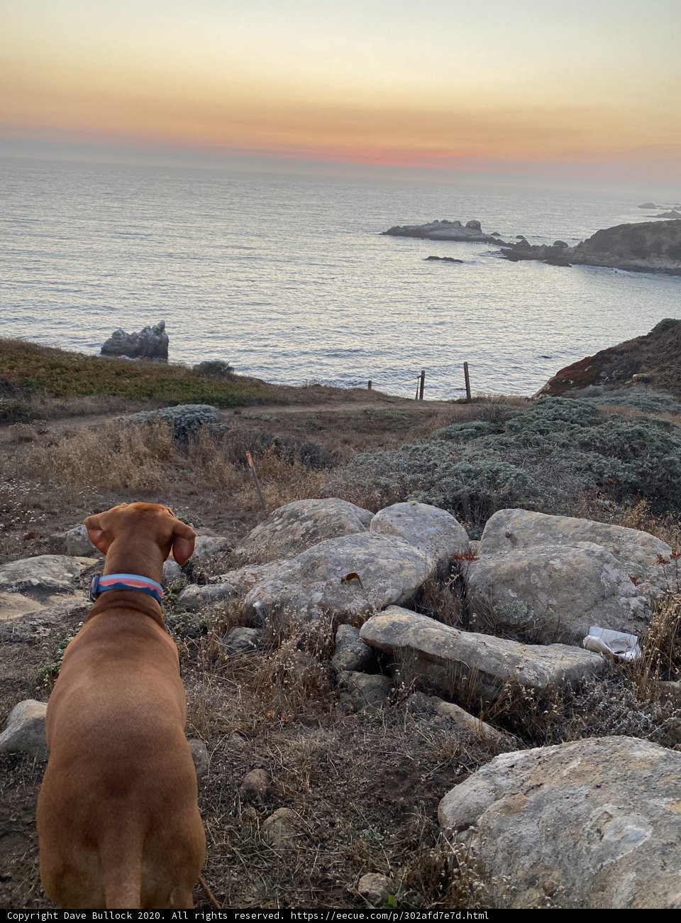Overlooking the Pacific