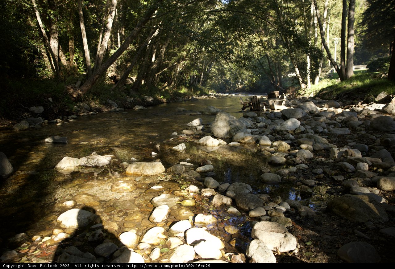 Emerald Wilderness: A Snapshot from the Big Sur Adventure 2023