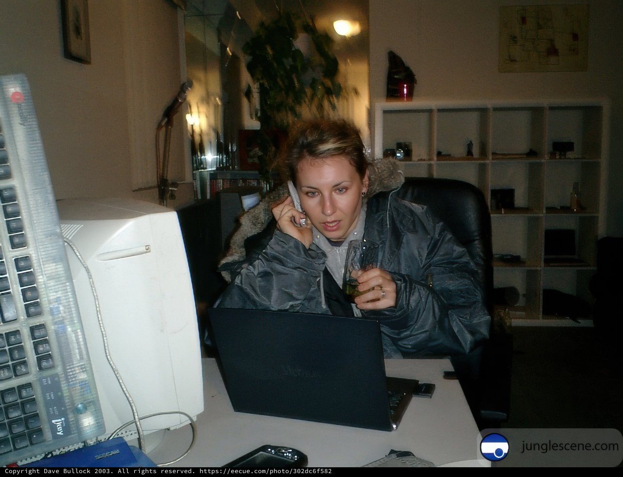 Working Remotely