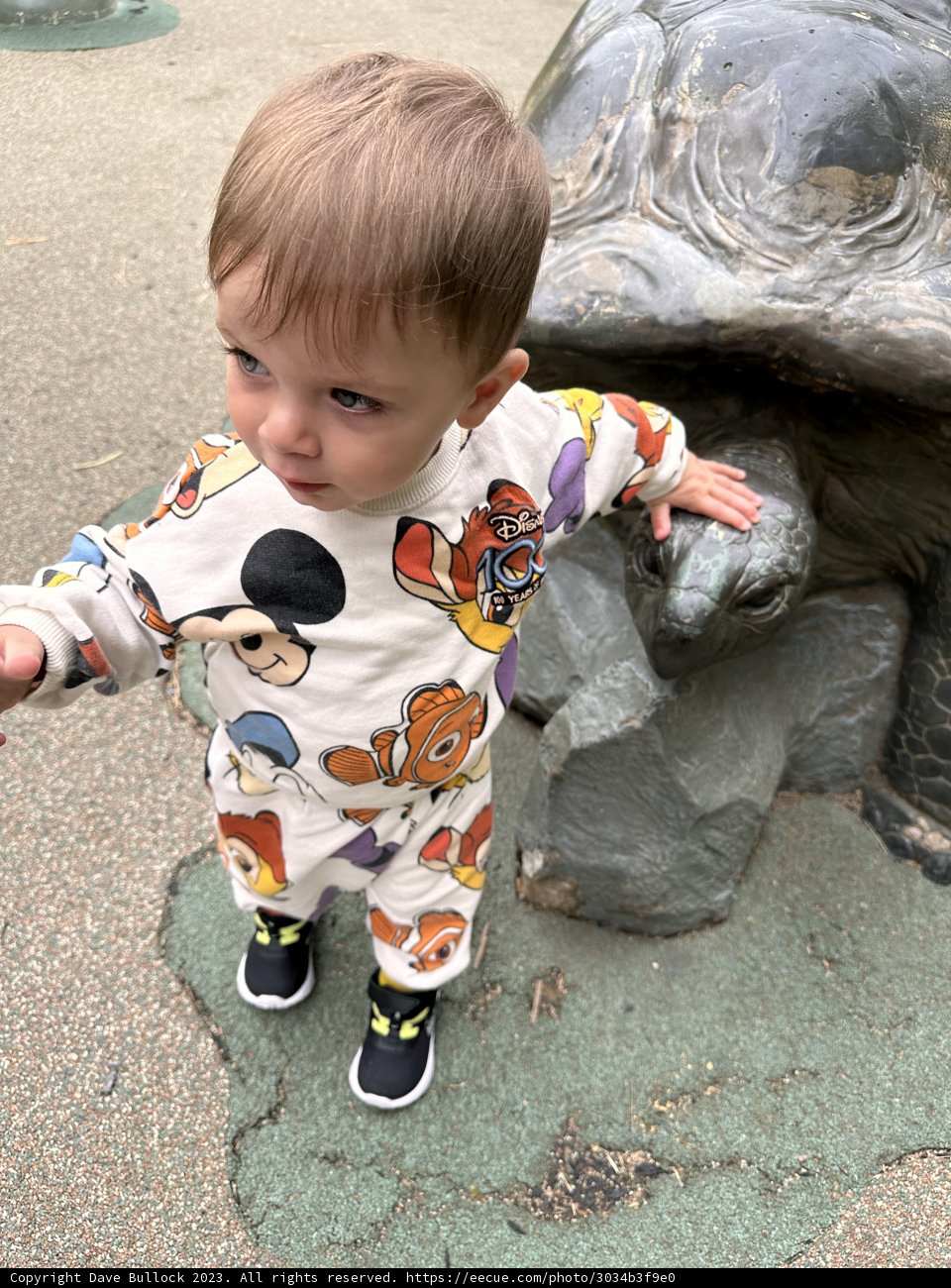 Turtle Tot at the Zoo