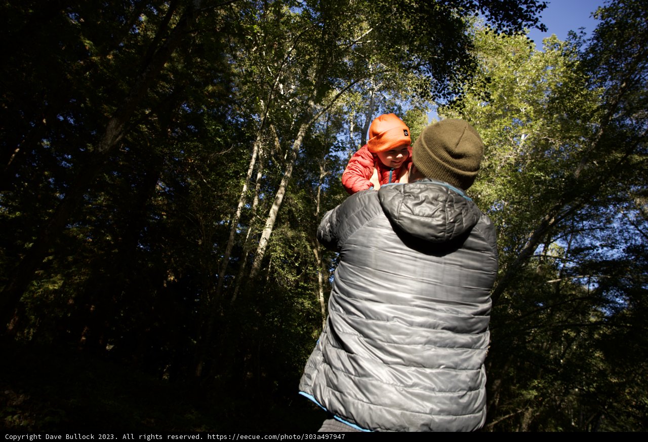 Defying Gravity at Big Sur