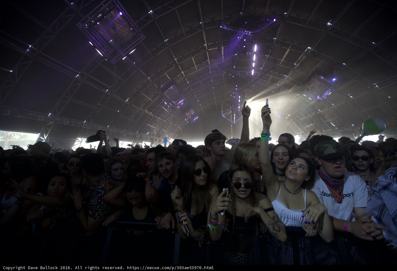 Electric Crowd at Coachella 2016