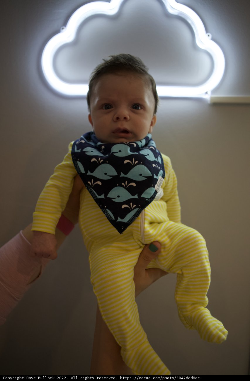 Little Wesley's Neon Sign Adventure