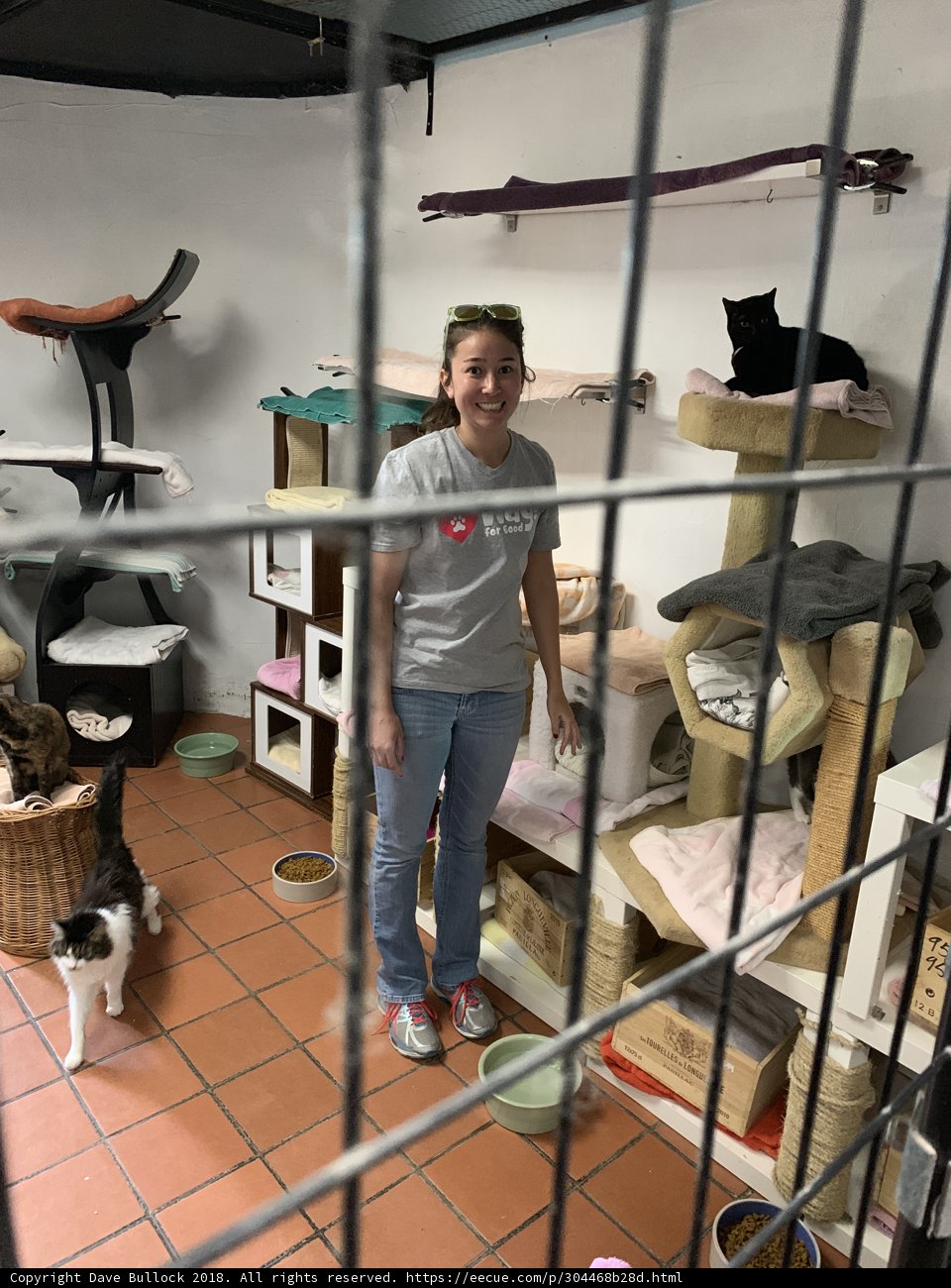 Woman and her Furry Friends