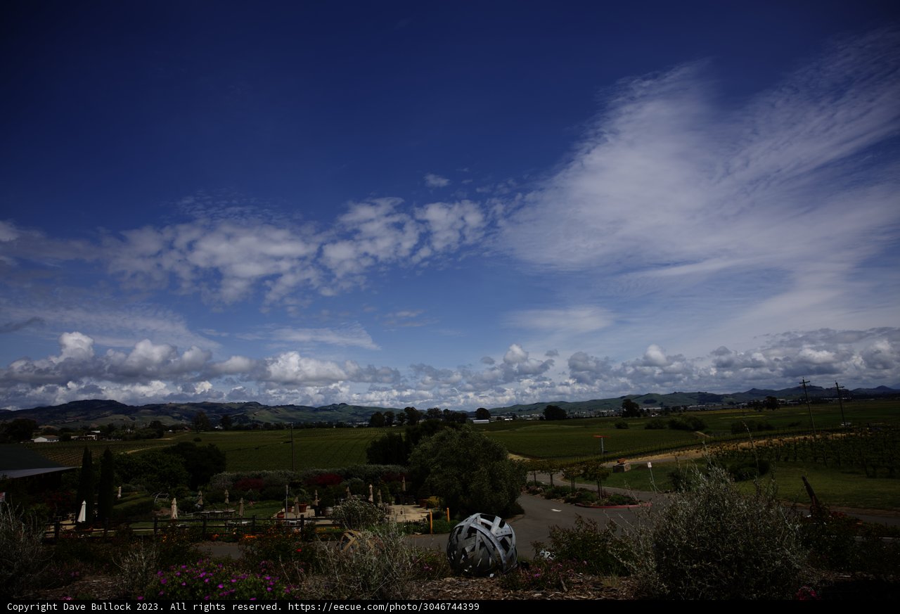 Breathtaking Bouchaine Vineyards