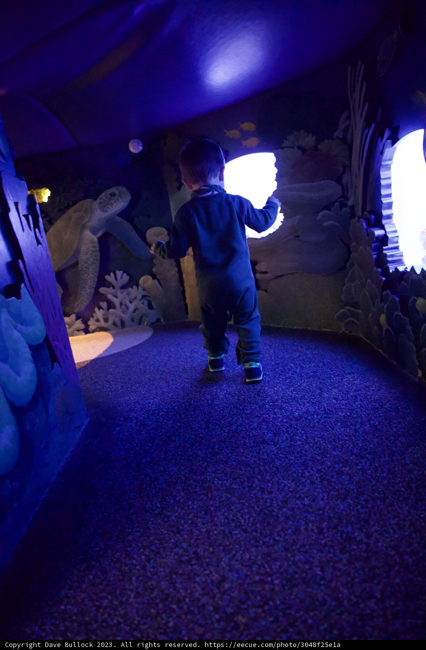 In the Purple Spotlight: A Young Explorer's Underwater Adventure