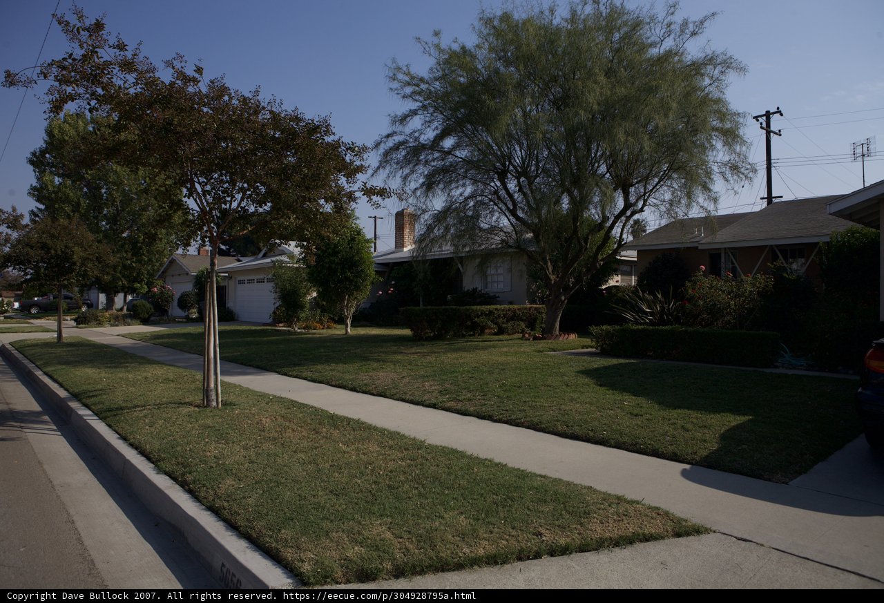 A Suburban Scene
