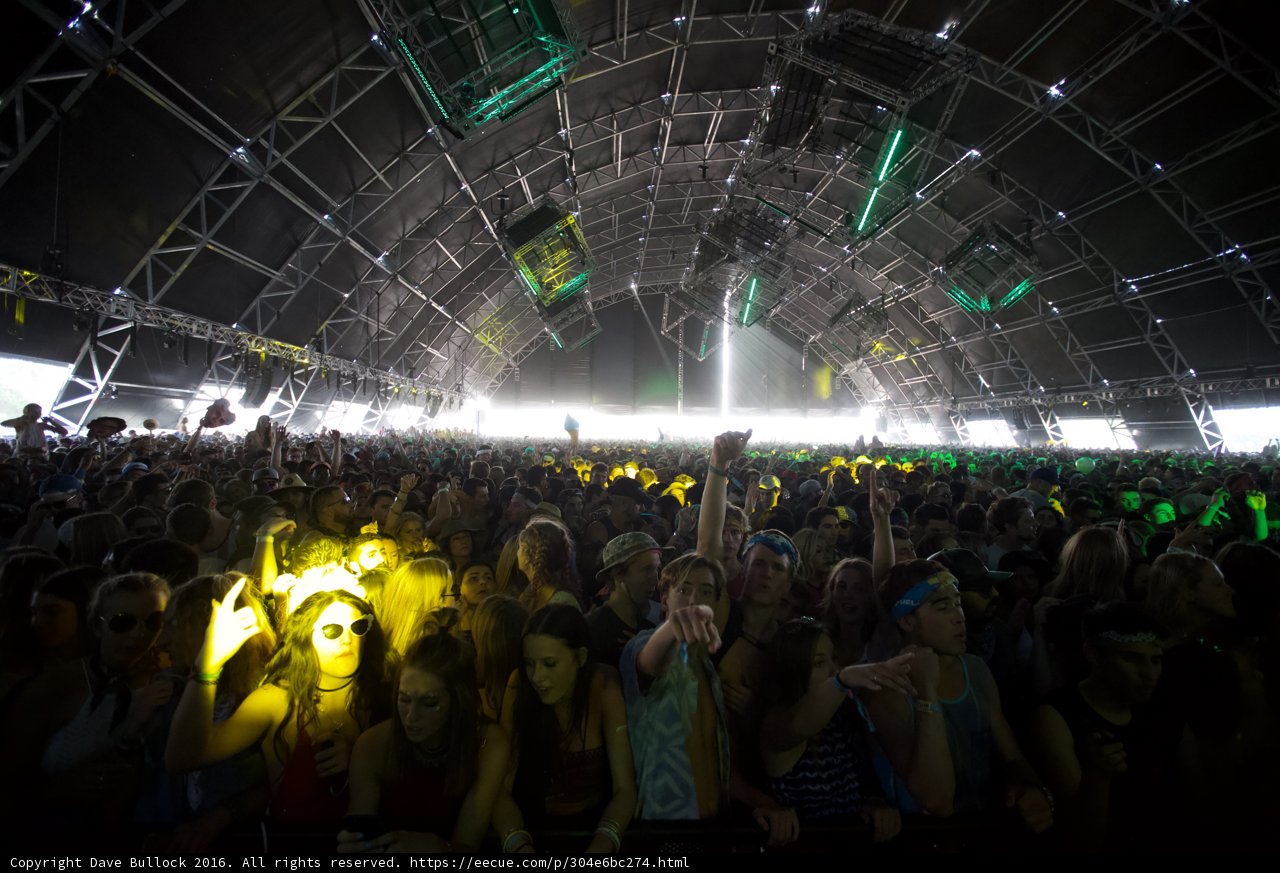 Ashley Graham Rocks Coachella Concert