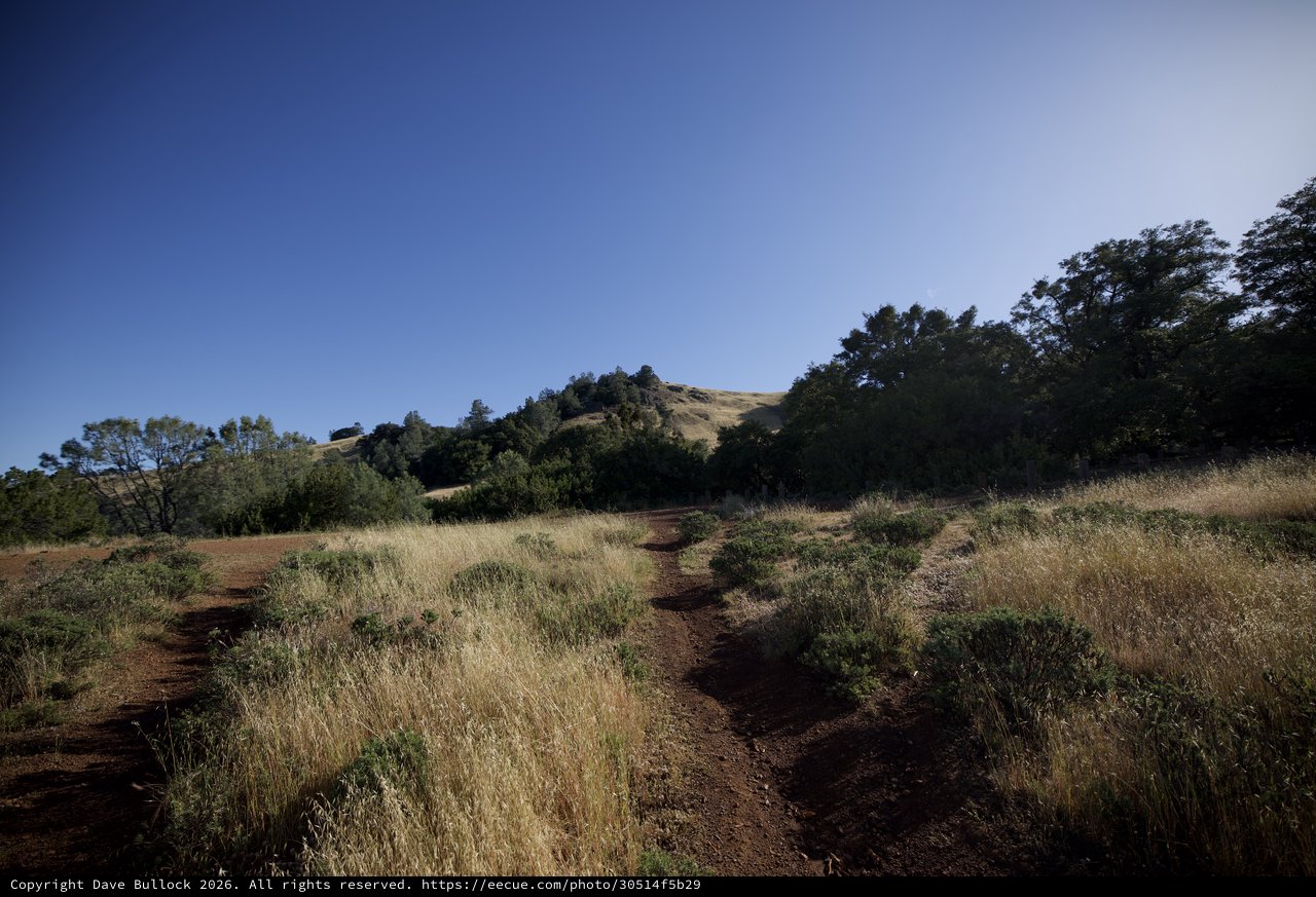 Winding Dirt Trail Through Golden Hills of Mt. Diablo