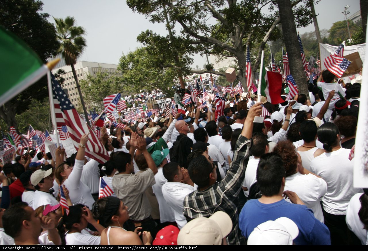 Patriotic Crowd at a Parade